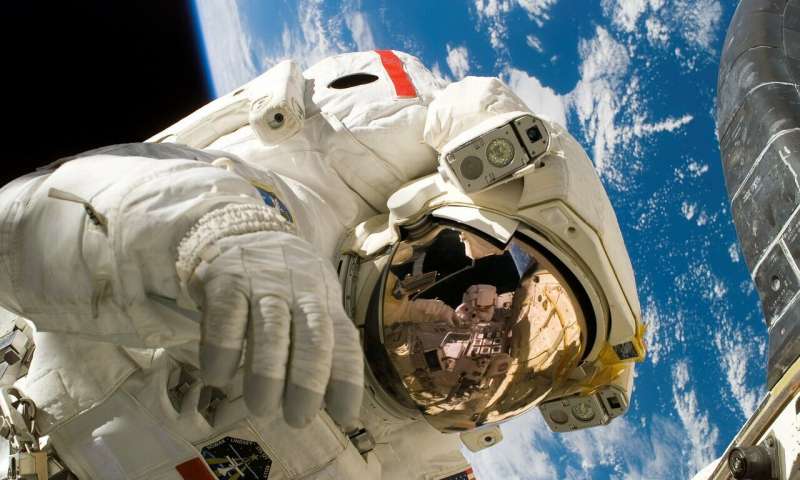 Credit: CC0 Public Domain astronaut