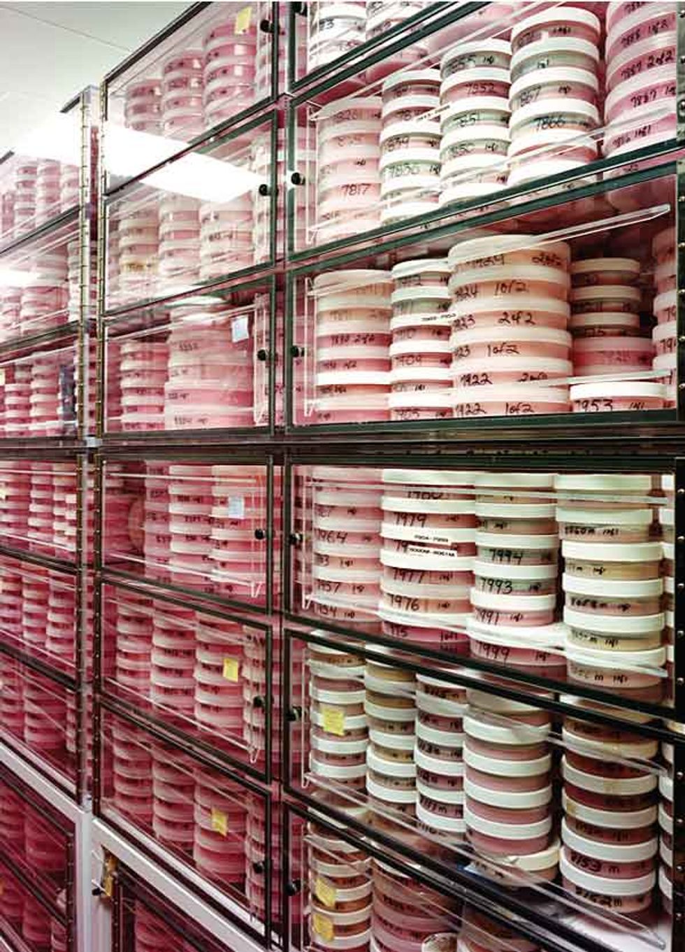 Piles of containers sitting on shelves.  